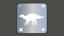 Shantungosaurus Friend