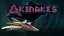 Supreme Commander