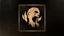I am The Alpha now