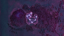 Path of the True Crab