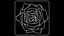 Pressed Rose