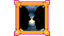 I - Gemini