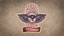 Magician, Mages Guild