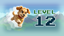 Level 12