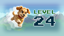 Level 24