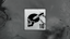 I Am The Night