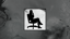The Team Psychologist