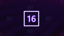 Level 16
