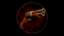 Shotgun