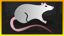 Rat-Catcher