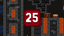 Level 25