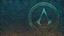 The Saga Begins