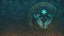 As It Was Foretold
