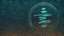 Equilibrium
