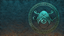Witch Hunter