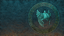 Godly Reward