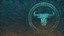 Bad Bull