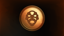 The Prizefighter