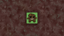 Wood Boy