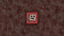Tofu Boy