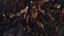 Enemy Of The Physical Realm