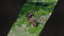 Ultimate Hunter