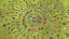 World's Fair