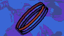 Bicolor Ring