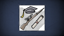 Master of Rifles