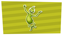 Decoration Celebration!