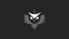 Night Owl
