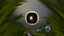 Exploiter