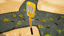 Spatula Seeker