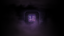 The Perfect Organism