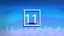 Level 11