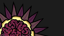 CELESTIAL BODY