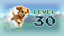 Level 30