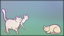 Found 240 cats