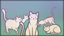 Found 280 cats