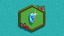 First Crystal