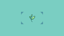 Botanical