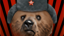 Comrade Yogi