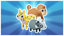 Friendly Pack