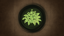 Persistent Parasite