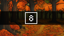Level 8
