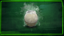 Smokey!