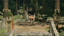 Purify Adashino Village