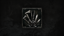 Throwable Collector