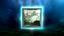 Nort Base