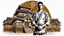 Master of the Dojos